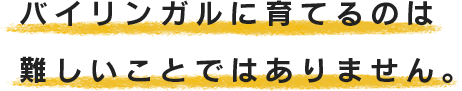 バイリンガルに育てるのは難しいことではありません。